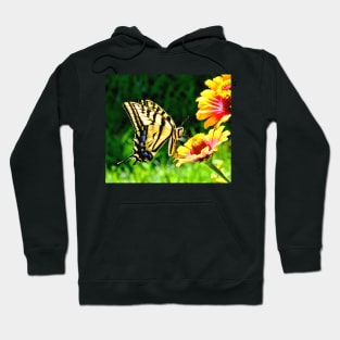 Yellow Butterfly on a flower Hoodie